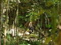Tn dsc 4912